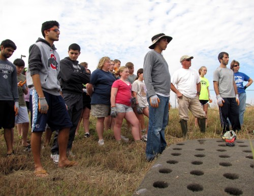smFloating Wetlands-HBrown (2)