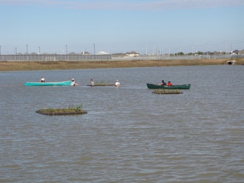 smFloating Wetlands-HBrown (46)