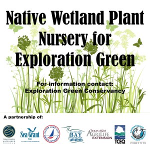 TCWPExpGrnNursery_GBEPadded-SM